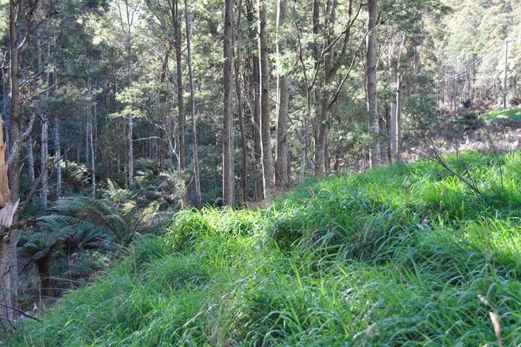 Main view of Homely residentialLand listing, Lot 1 Huon Highway, Glendevie TAS 7109