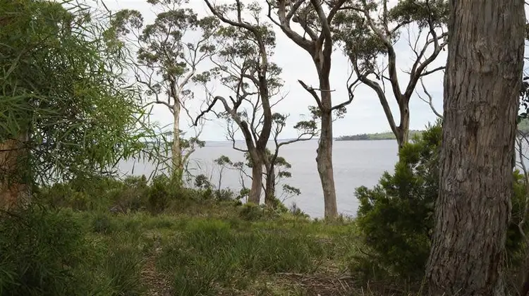 Seventh view of Homely land listing, 20 Cray Point Parade, Eggs And Bacon Bay TAS 7112