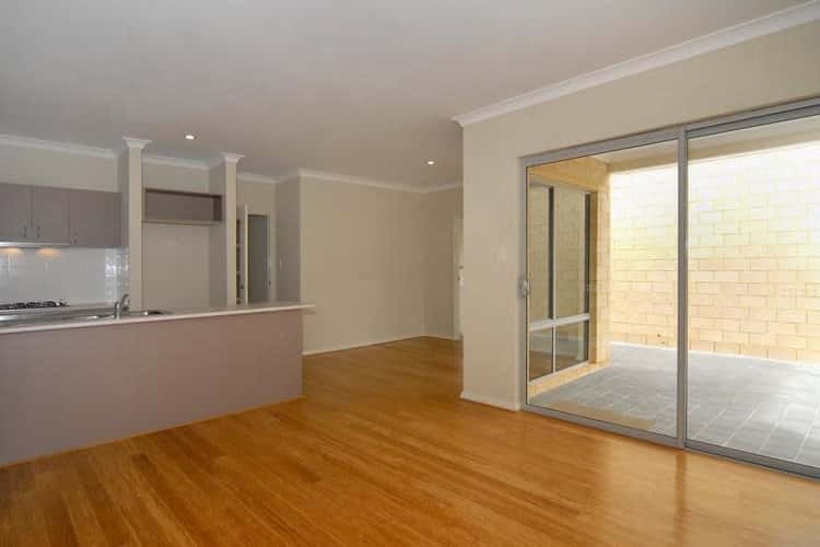 Main view of Homely apartment listing, 337B Albert Street, Balcatta WA 6021