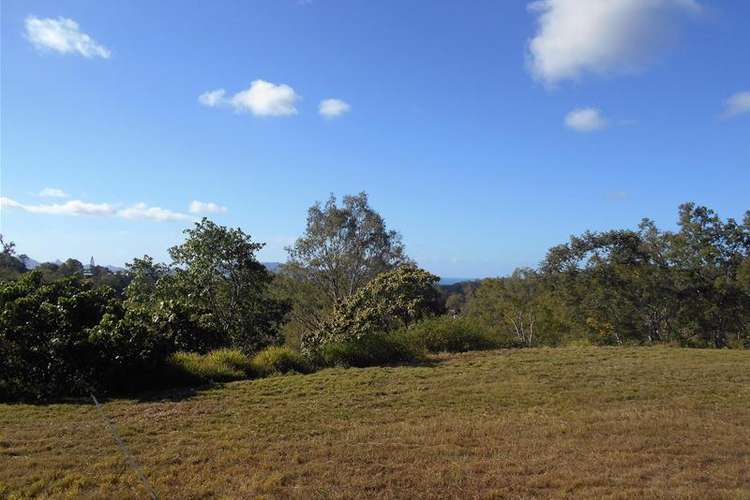 Sixth view of Homely acreageSemiRural listing, 93 Danmaar Drive, Habana QLD 4740