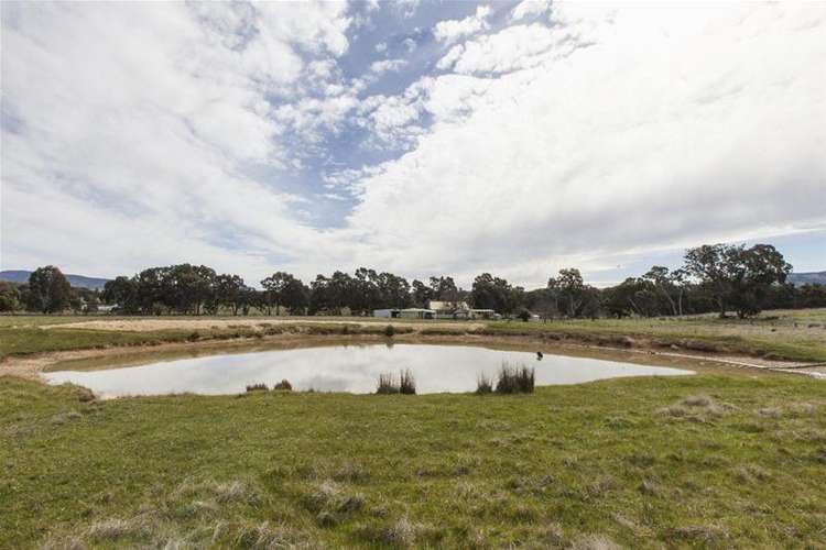 Fourth view of Homely acreageSemiRural listing, 147 Back Amphitheatre Road, Amphitheatre VIC 3468