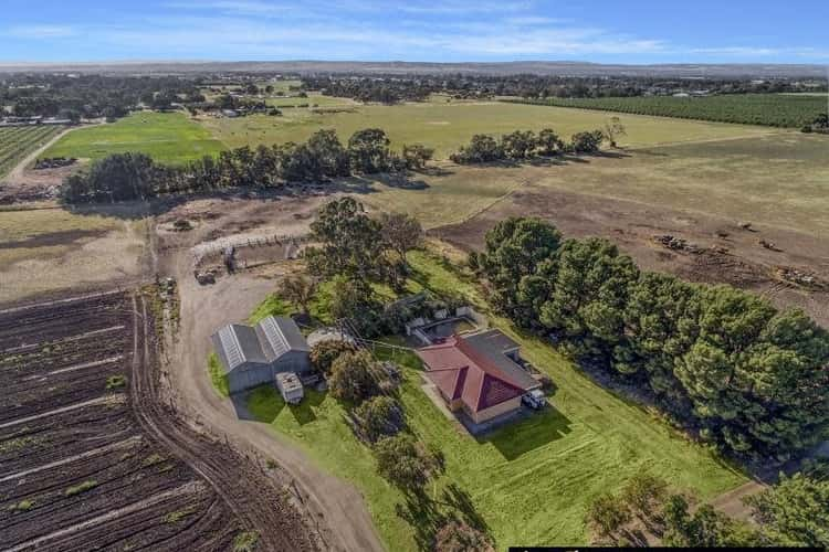 Second view of Homely house listing, 117 McGee Road, Angle Vale SA 5117