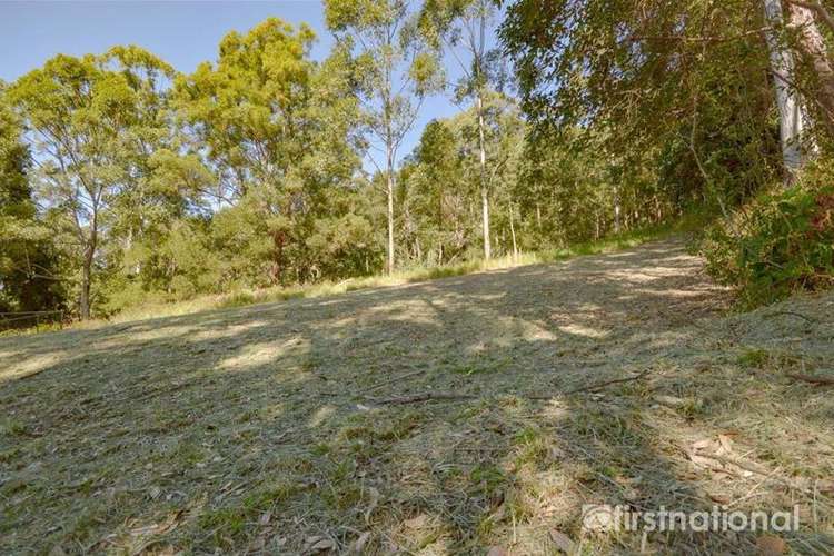 Sixth view of Homely residentialLand listing, 13 Ambon Court, Tamborine Mountain QLD 4272