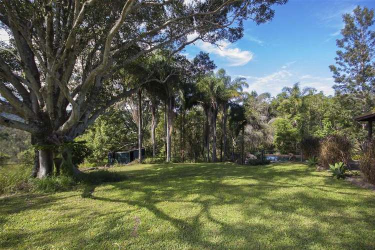 Sixth view of Homely house listing, 1119 Beaudesert Nerang Road, Clagiraba QLD 4211