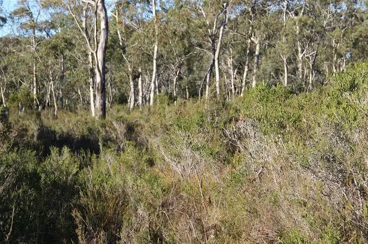 Sixth view of Homely land listing, 21 Flakemores Road, Eggs And Bacon Bay TAS 7112