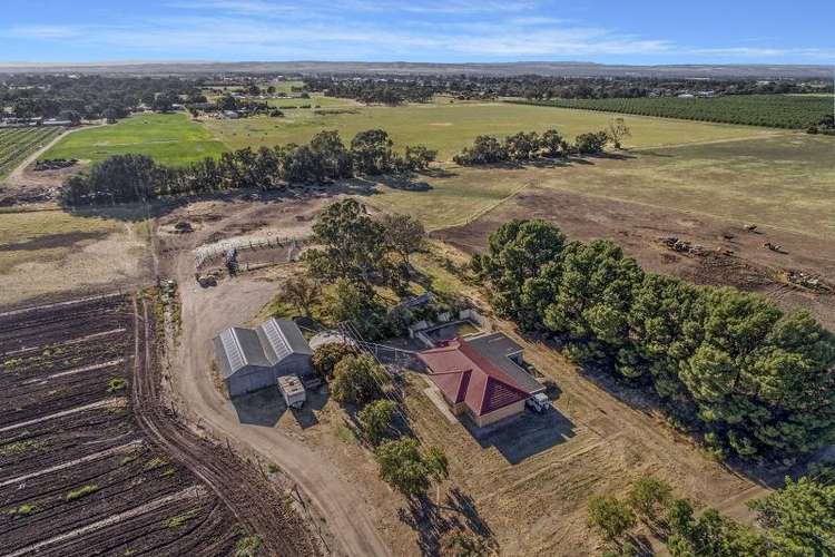 Main view of Homely acreageSemiRural listing, 117 McGee Road, Angle Vale SA 5117