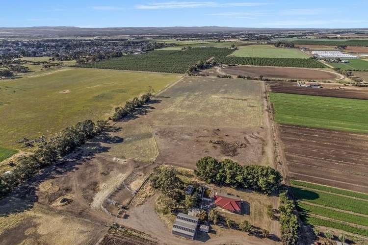 Third view of Homely acreageSemiRural listing, 117 McGee Road, Angle Vale SA 5117