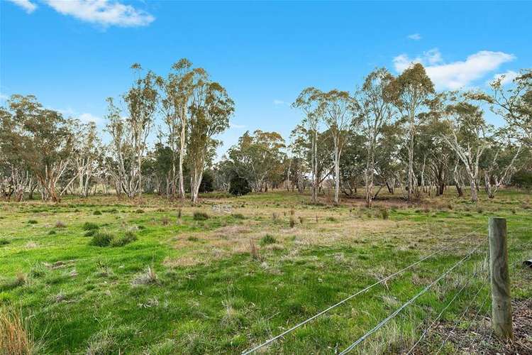 Third view of Homely acreageSemiRural listing, 1015 Pyrenees Highway, Amphitheatre VIC 3468