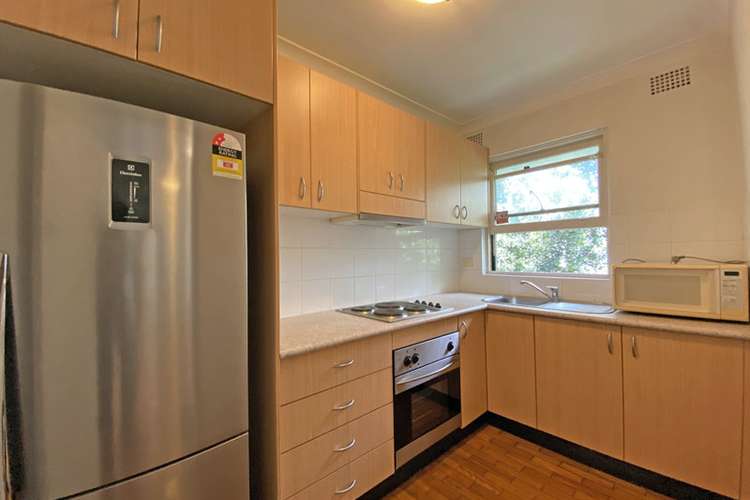 Main view of Homely studio listing, 6/64 Alexander Street, Alexandria NSW 2015