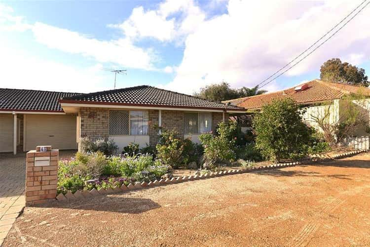 Main view of Homely semiDetached listing, 4B Blaxland Way, Padbury WA 6025