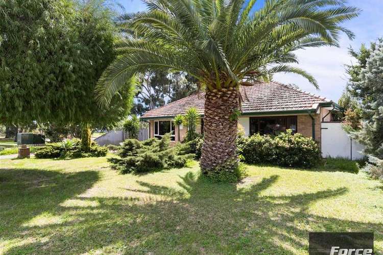 Fifth view of Homely house listing, 5 Seaforth Road, Balcatta WA 6021