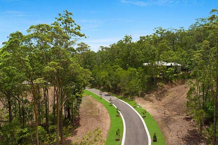 Fifth view of Homely residentialLand listing, 19 Mary Bale Drive, Tallebudgera QLD 4228