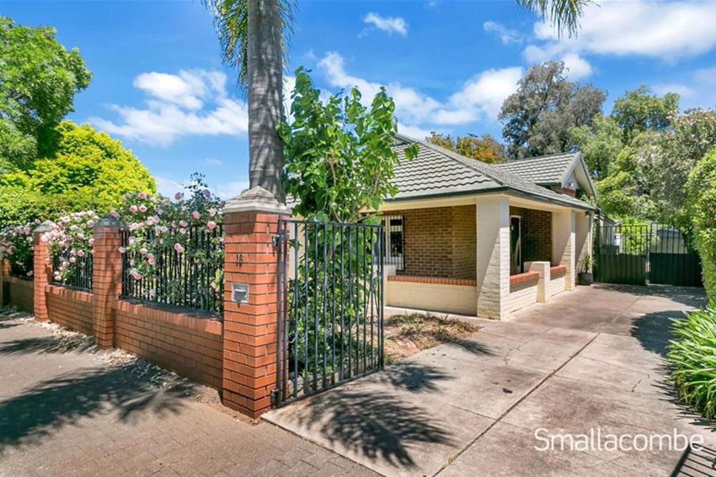 Main view of Homely house listing, 16 Lincoln Avenue, Colonel Light Gardens SA 5041