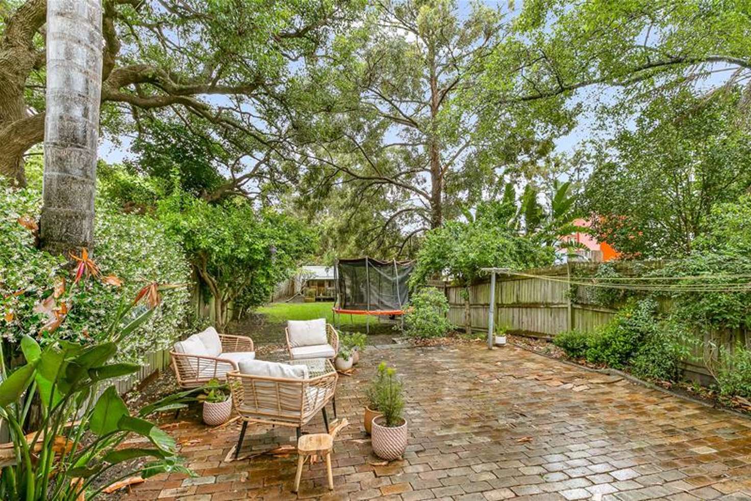Main view of Homely house listing, 79 Cobar Street, Dulwich Hill NSW 2203