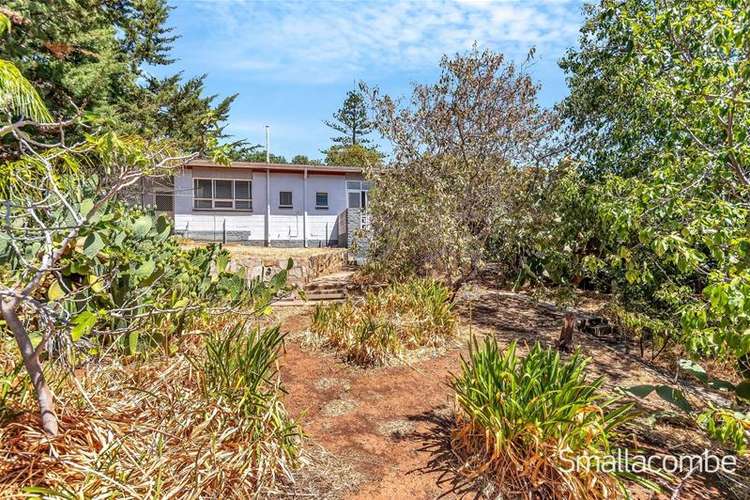 Third view of Homely house listing, 59 Ayliffes Road, St Marys SA 5042