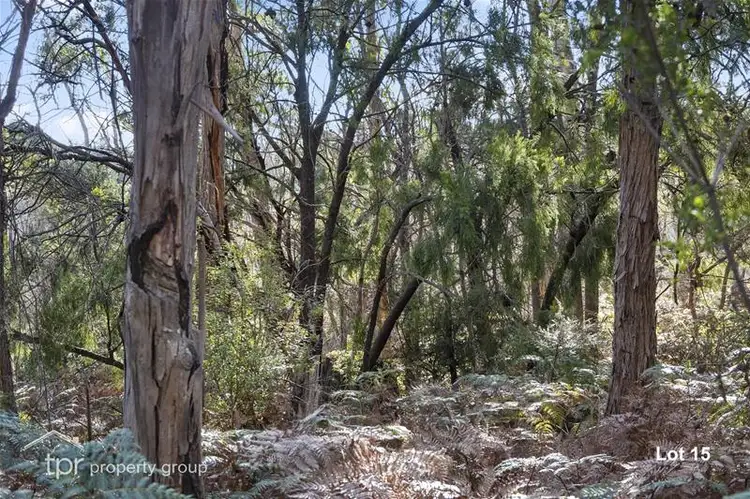 Seventh view of Homely land listing, 15 Off Flakemores Road, Eggs And Bacon Bay TAS 7112