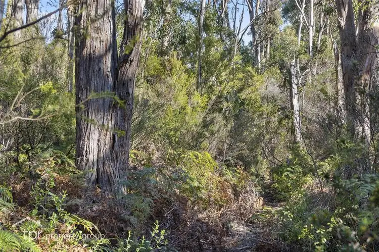 Sixth view of Homely land listing, 16 Off Flakemores Road, Eggs And Bacon Bay TAS 7112