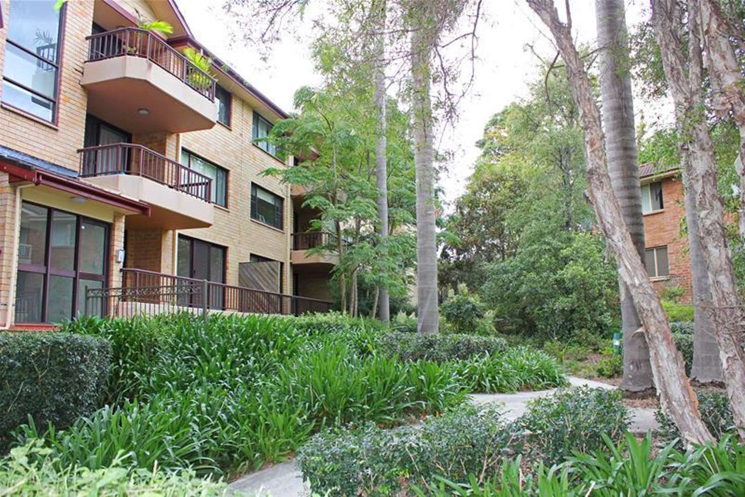 Main view of Homely apartment listing, 50/346 Pennant Hills Road, Carlingford NSW 2118