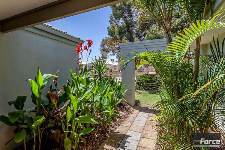 Third view of Homely house listing, 19 San Teodoro Avenue, Sinagra WA 6065