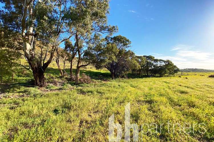 Main view of Homely residentialLand listing, 59 Long Gully Road, Mannum SA 5238