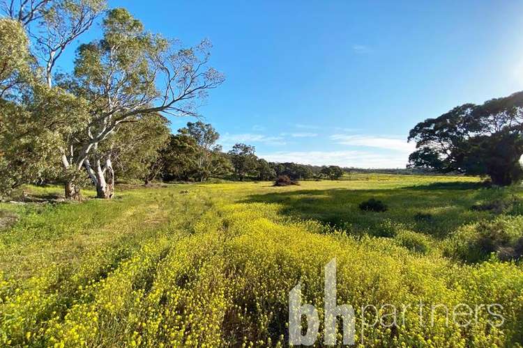 Fourth view of Homely residentialLand listing, 59 Long Gully Road, Mannum SA 5238