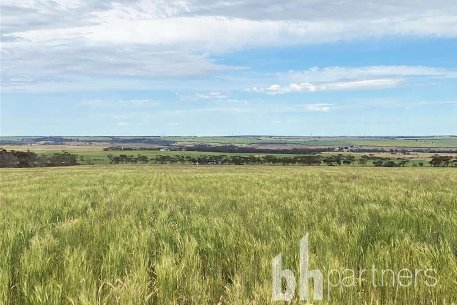 Main view of Homely residentialLand listing, Lot 339 Marks Road, Mannum SA 5238