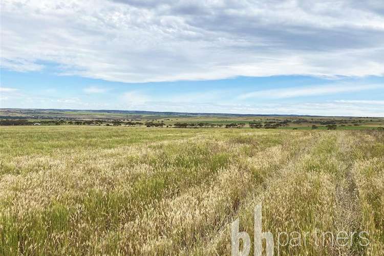 Fifth view of Homely residentialLand listing, Lot 339 Marks Road, Mannum SA 5238