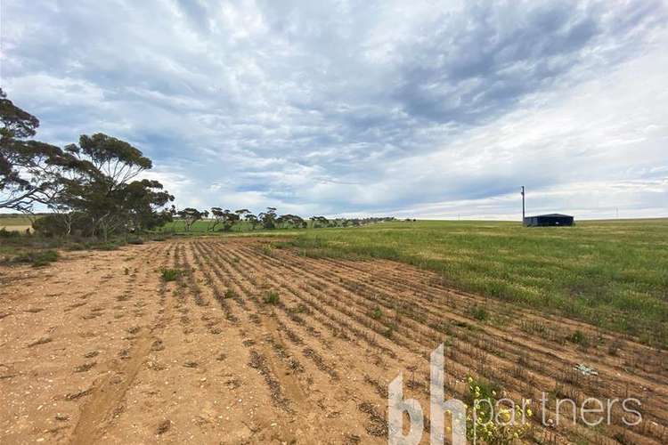 Sixth view of Homely residentialLand listing, Lot 339 Marks Road, Mannum SA 5238