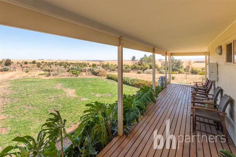 Third view of Homely acreageSemiRural listing, 101 Magpie Crescent, Mannum SA 5238