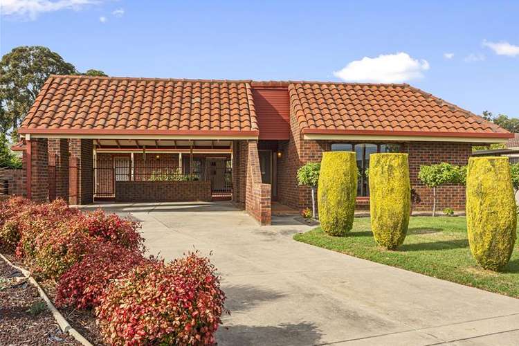 Main view of Homely house listing, 16 Jean Street, Oaklands Park SA 5046