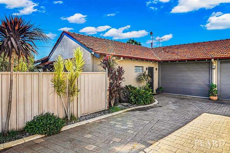 Main view of Homely house listing, 1a Sylvia Street, Balcatta WA 6021