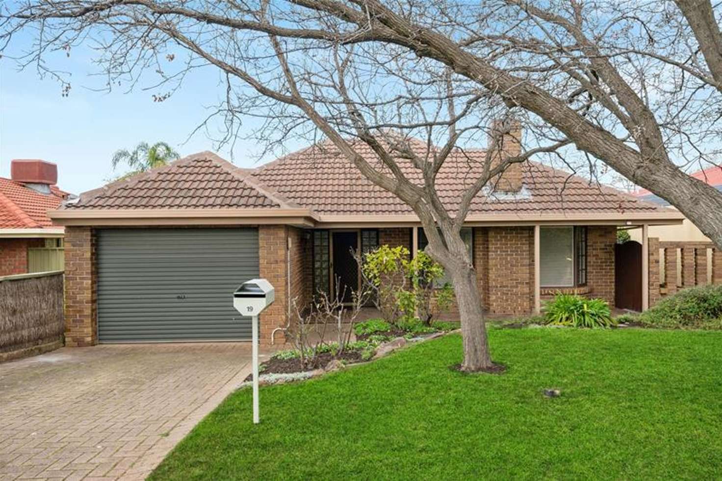Main view of Homely house listing, 19 Strathisla Court, Modbury Heights SA 5092
