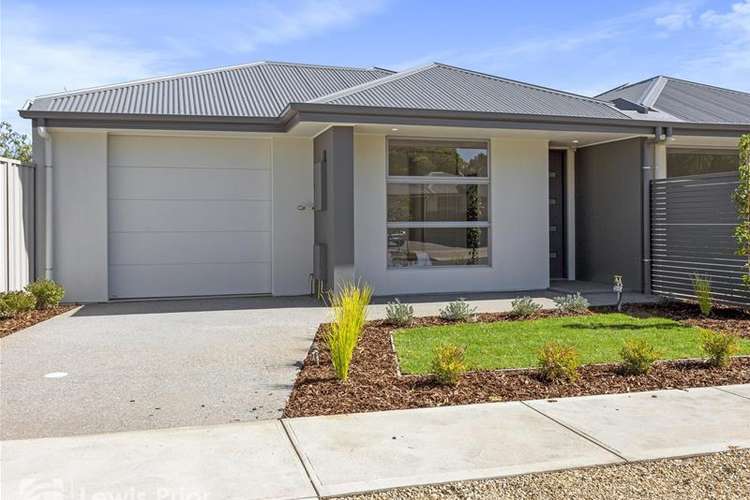 Main view of Homely house listing, 48B Johnstone Road, Oaklands Park SA 5046