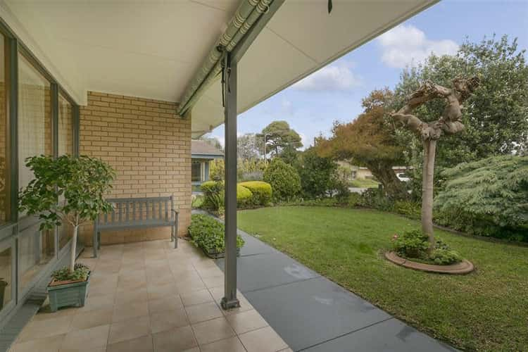 Third view of Homely house listing, 4 Mawson Close, Brighton SA 5048