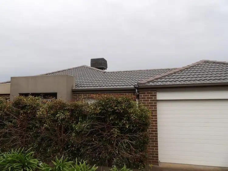 41 Takari Street