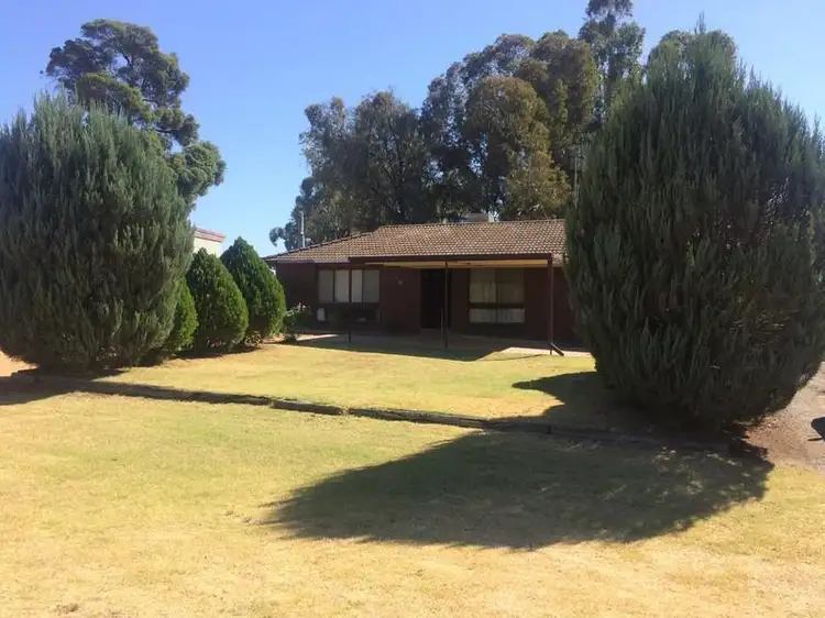 38 Kamarooka Street