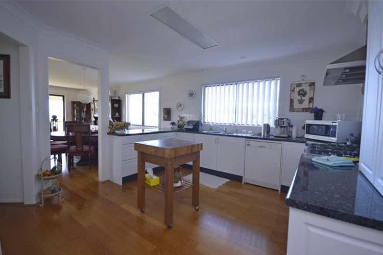 Fifth view of Homely house listing, 8 Moreton Bay Avenue, Tamborine Mountain QLD 4272