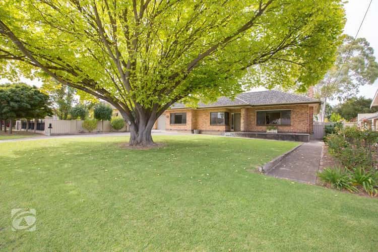 Main view of Homely house listing, 37 Foster Street, Naracoorte SA 5271