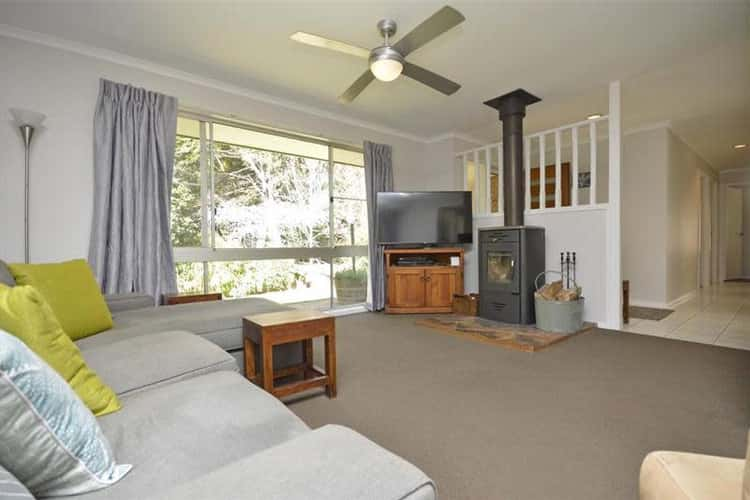 Sixth view of Homely house listing, 47-49 Caryota Court, Tamborine Mountain QLD 4272