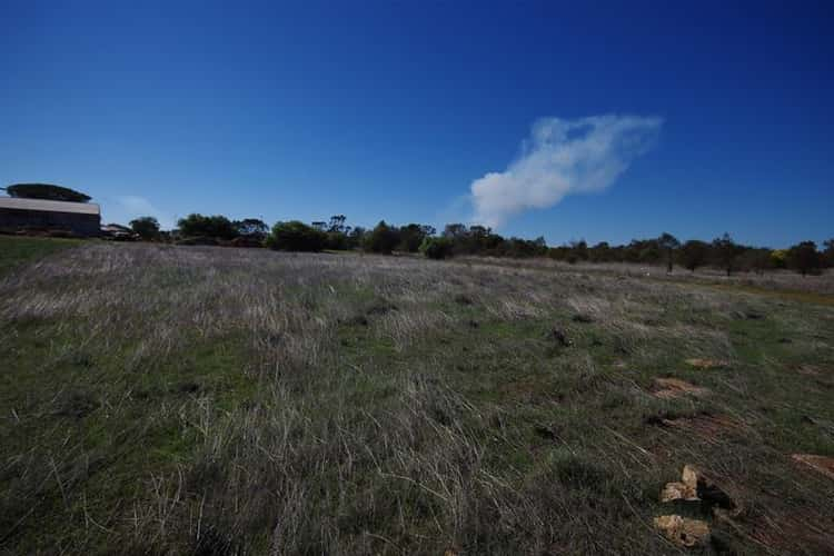 Main view of Homely residentialLand listing, 38 South Terrace, Curramulka SA 5580