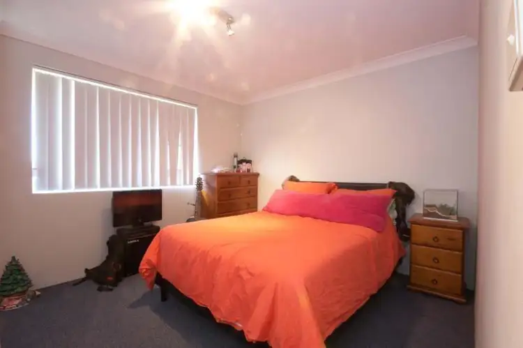 Sixth view of Homely unit listing, 5/19 Mitchell Avenue, Singleton NSW 2330