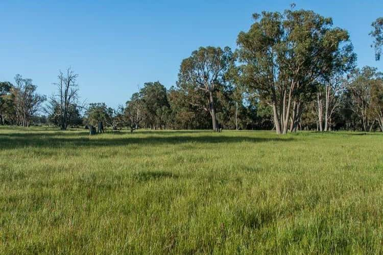 Fourth view of Homely acreageSemiRural listing, 156 DALEY Road, West Pinjarra WA 6208