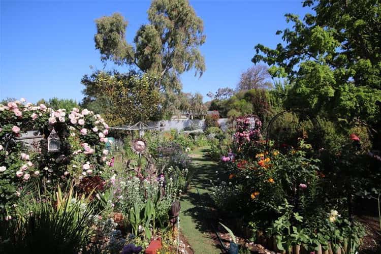 Second view of Homely house listing, 19 Mau Street, Mannum SA 5238