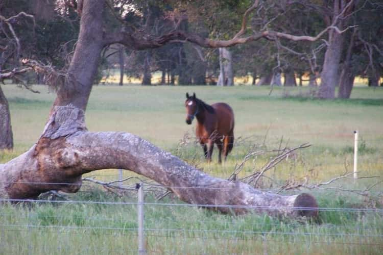 Fifth view of Homely acreageSemiRural listing, 156 DALEY Road, West Pinjarra WA 6208