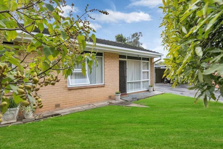 Main view of Homely house listing, 3/5 Richmond Road, Westbourne Park SA 5041