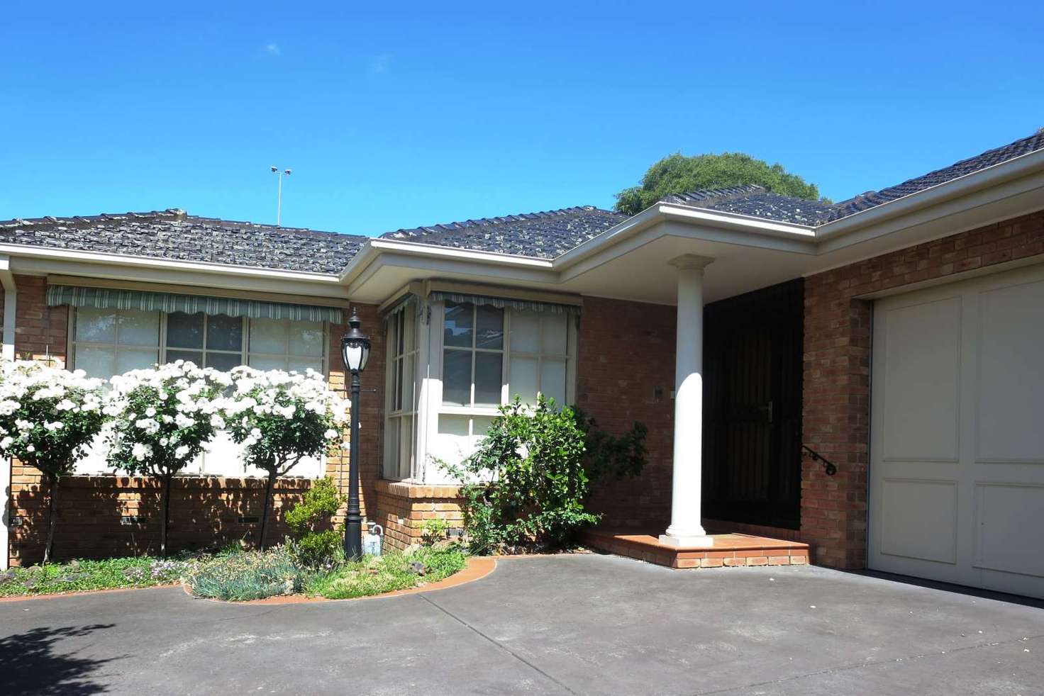 Main view of Homely house listing, 20 Jersey Street, Balwyn VIC 3103