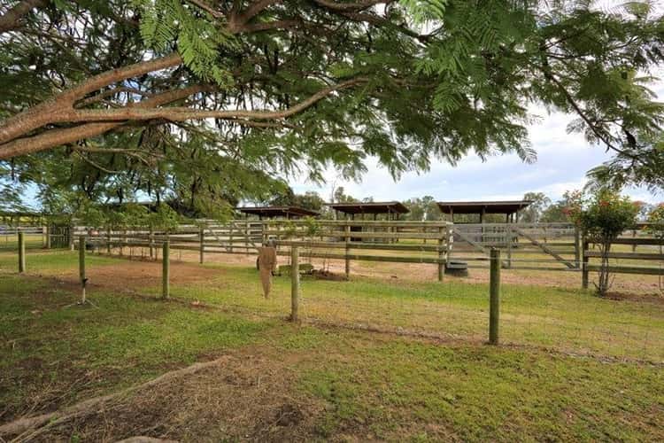 Third view of Homely acreageSemiRural listing, 194 Kalbar Rd, South Kolan QLD 4670