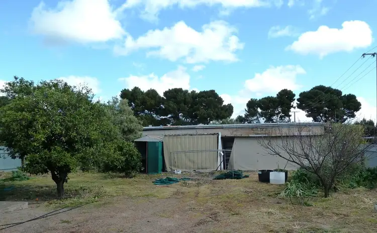 Seventh view of Homely house listing, 14 Thomas Street, Minnipa SA 5654