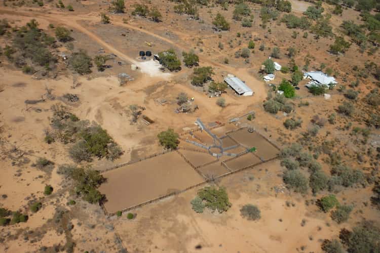 Main view of Homely livestock listing, " Mogera/Hoomooloo ", Quilpie QLD 4480
