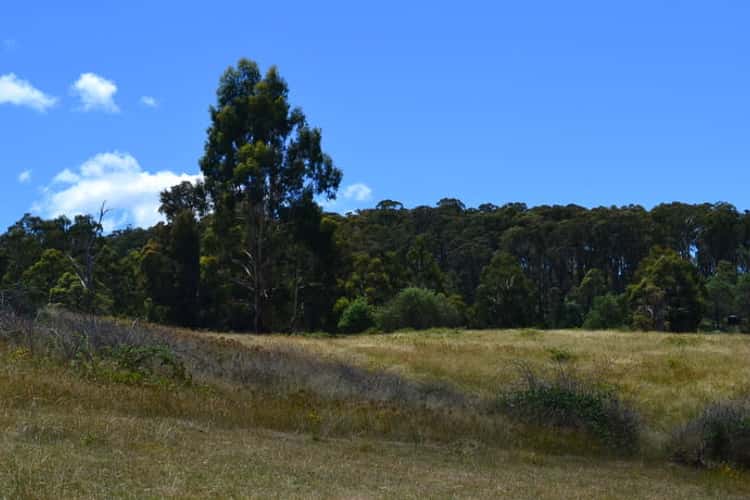 Fifth view of Homely cropping listing, 13 Snowys Track, Benambra VIC 3900